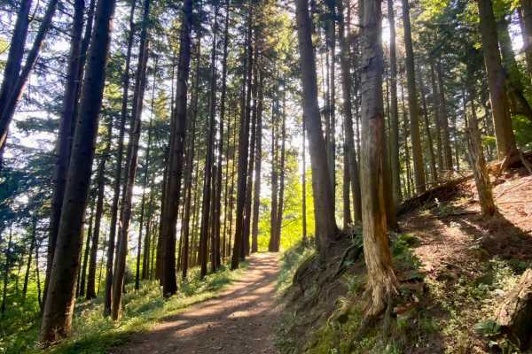 Via della Lana e della Seta in gruppo - 6 giorni