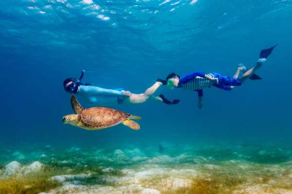 Bibanga Yacht Sunset and Snorkel Cruise