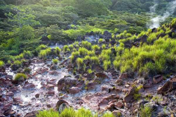 La Cangreja Waterfall Volcano Hike