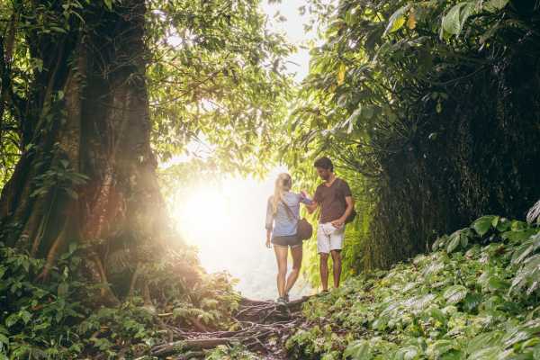 Pedra da G&aacute;vea Hiking Trail Experience