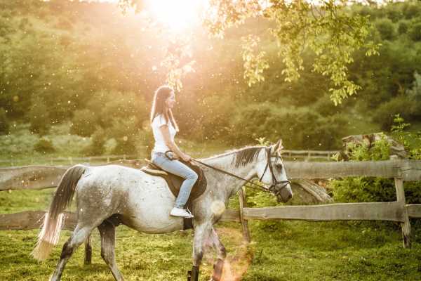 Children's Mountain Horseback Riding