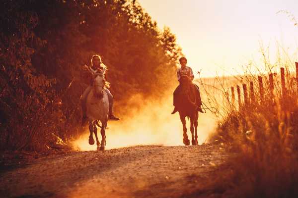 Children's Mountain Horseback Riding