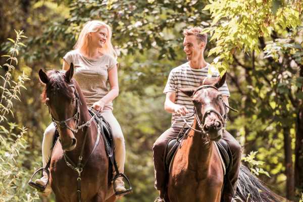 Children's Mountain Horseback Riding