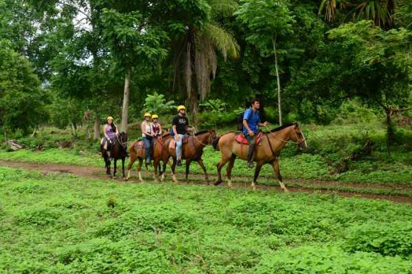 Children's Mountain Horseback Riding