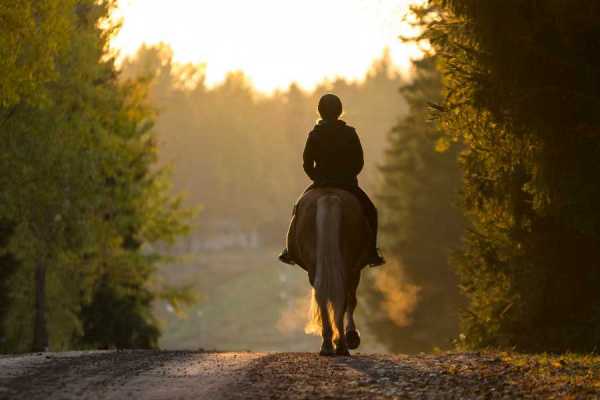 Children's Mountain Horseback Riding