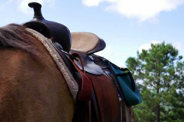 Children's Mountain Horseback Riding