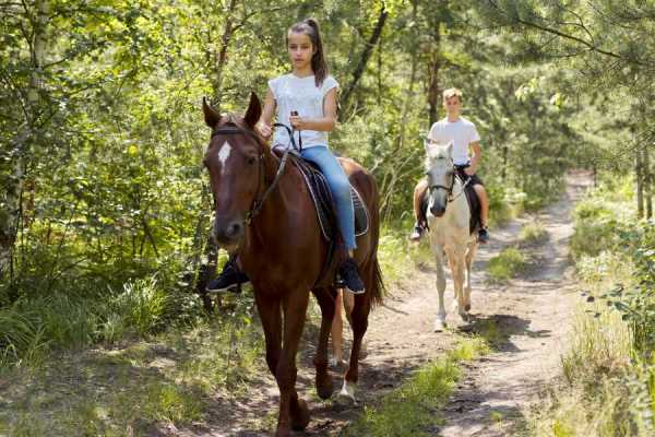 Children's Mountain Horseback Riding