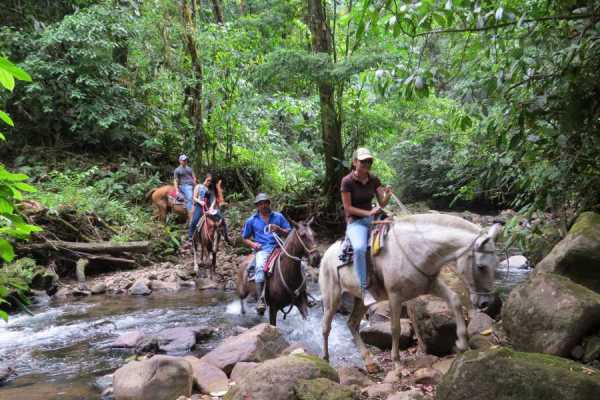 Children's Mountain Horseback Riding