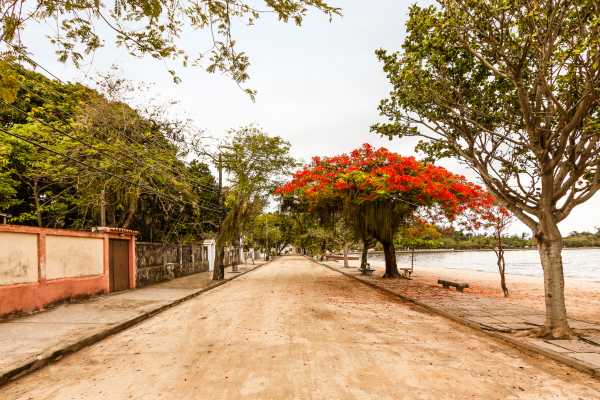 Paquet&aacute; Island Ferry Boat Tour
