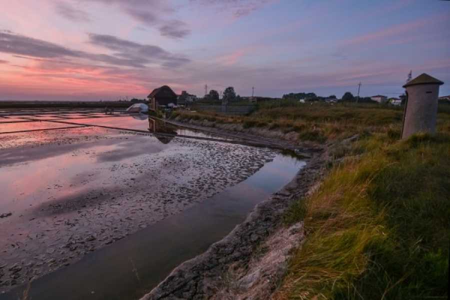 Discover Cervia (ERW) Salina di Cervia in Trenino