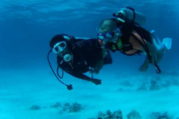 Intro diving trip  from El Gouna