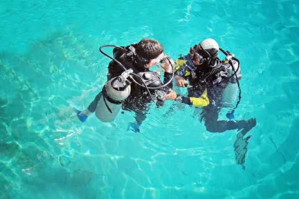 Intro diving trip  from El Gouna