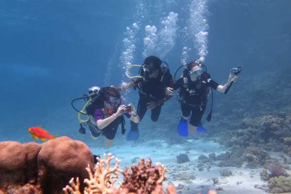Intro diving trip  from El Gouna