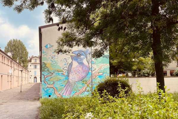 La street art di Bologna in bici