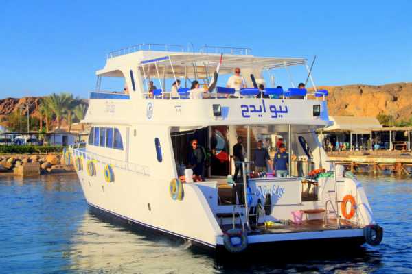 private Snorkeling boat trip from Makadi to the Dolphin house.
