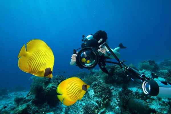 Day Scuba Diving from Makadi