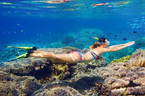 Snorkeling trip to the dolphin house from Soma bay