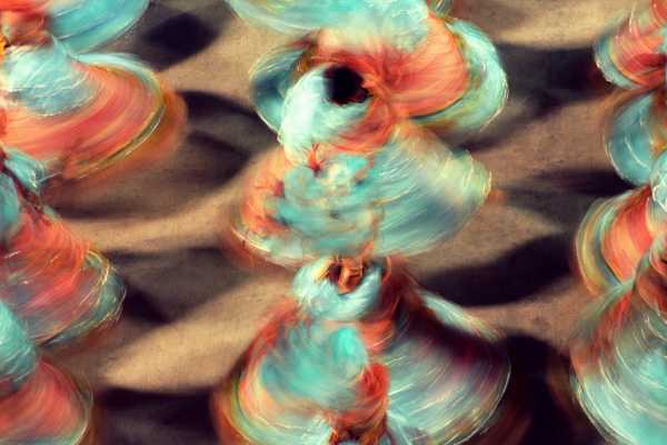 The Rio Carnival Experience