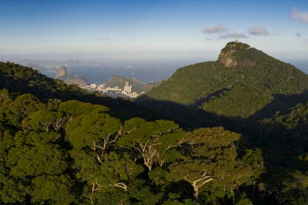 Tijuca Forest Christ Statue Helicopter Flight