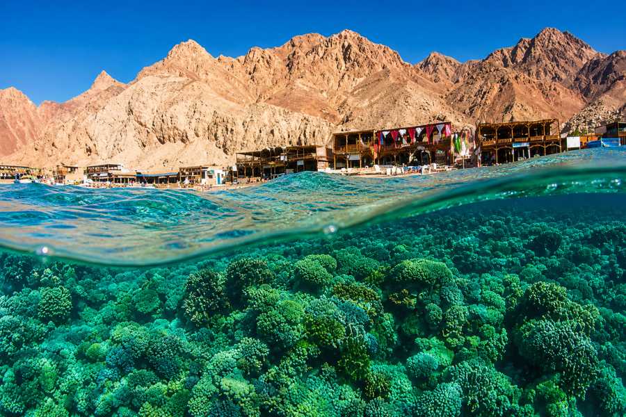 Let`s Explore Egypt 6 Days Cairo, Saint Catherine & Sharm El Sheikh