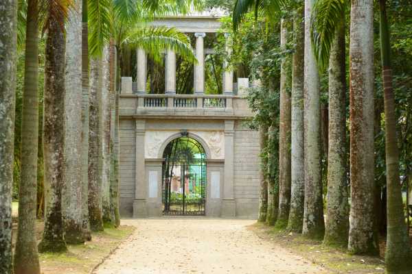 Night Premium Visit at Jardim Bot&acirc;nico