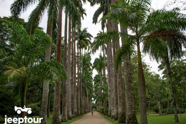 The Four Wonders Jeep Ride