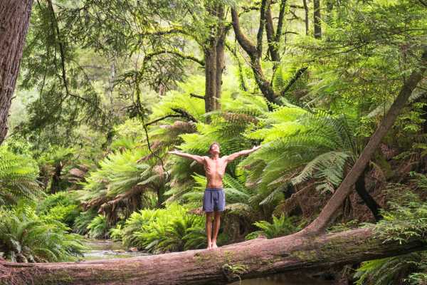Pure Awareness Yoga Retreat Brasil
