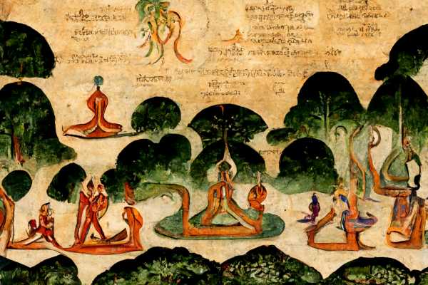 Pure Awareness Yoga Retreat Brasil