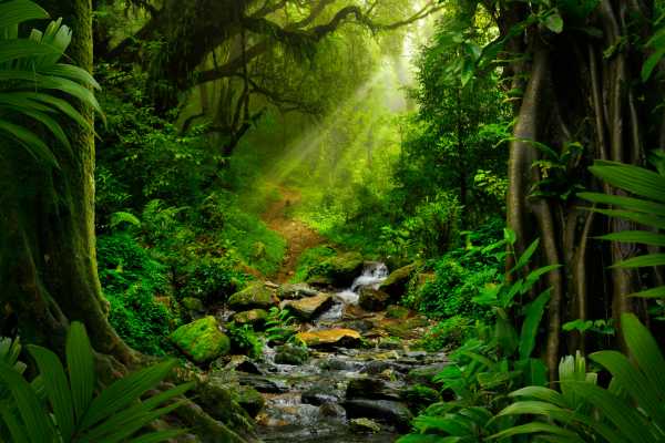 Pure Awareness Yoga Retreat Brasil