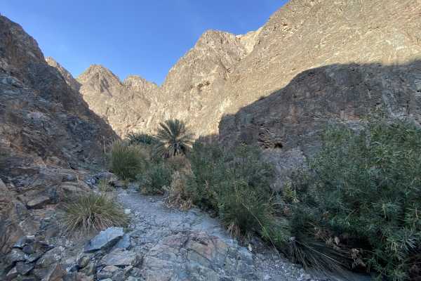 Al Dahir Wadi Hike in Fujairah (Tencent)