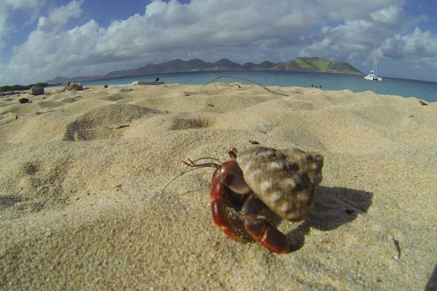 Sailtogether.com New Year Caribbean cruise / St.Martin, St.Barth,...