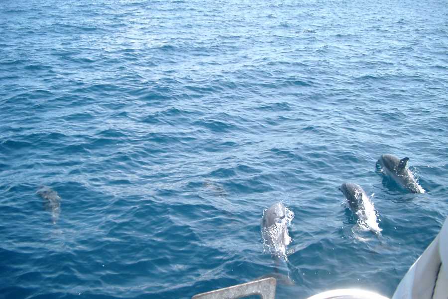 Sailtogether.com New Year Caribbean cruise / St.Martin, St.Barth,...