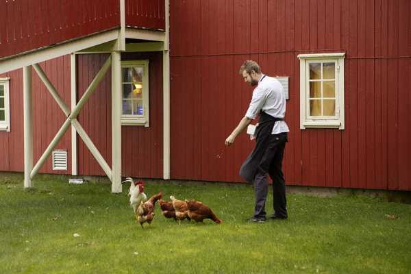 Vintermagi i Henning