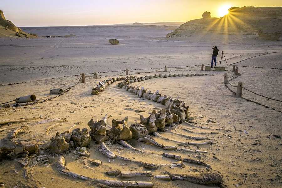 Marsa alam tours 9 day Egypt Itinerary Nile cruise and White desert tour