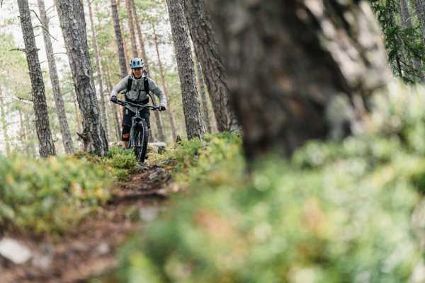 Shuttlebasert guidet stisykling - Privat tur