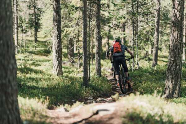 Shuttlebasert guidet stisykling - Privat tur