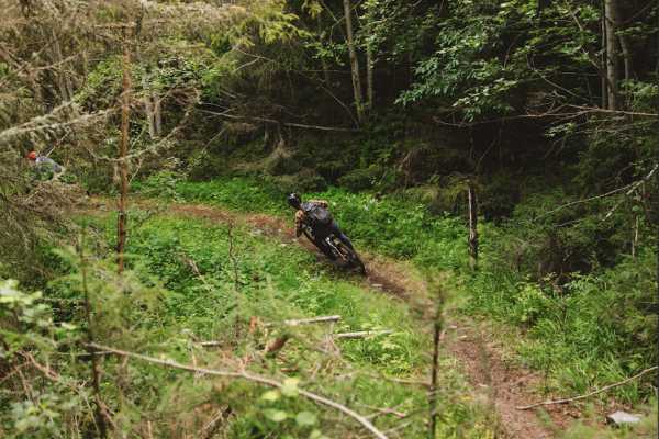 Shuttlebasert guidet stisykling - Privat tur