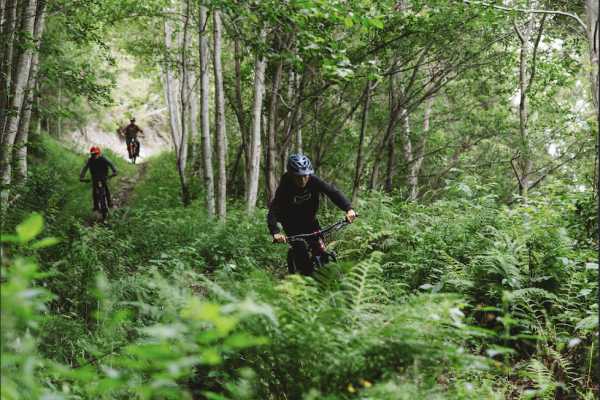 Shuttlebasert guidet stisykling - Privat tur