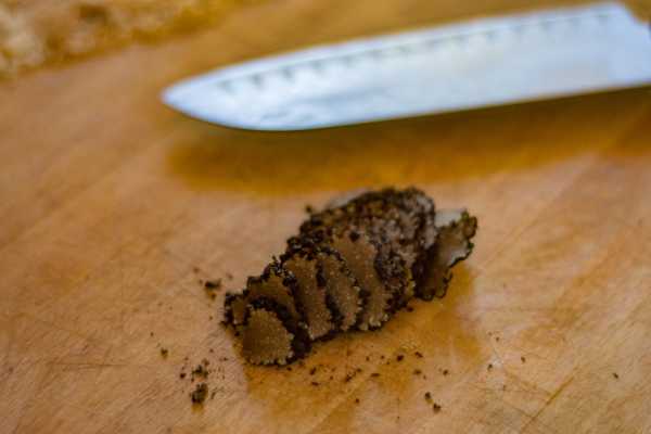 Caccia al tartufo e pranzo nel bosco di Palazzolo Acreide