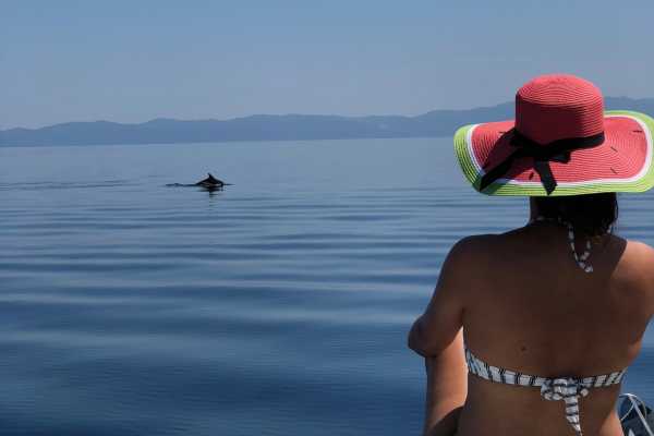 Athos & islands Cruise with captain, COMPASS 7s