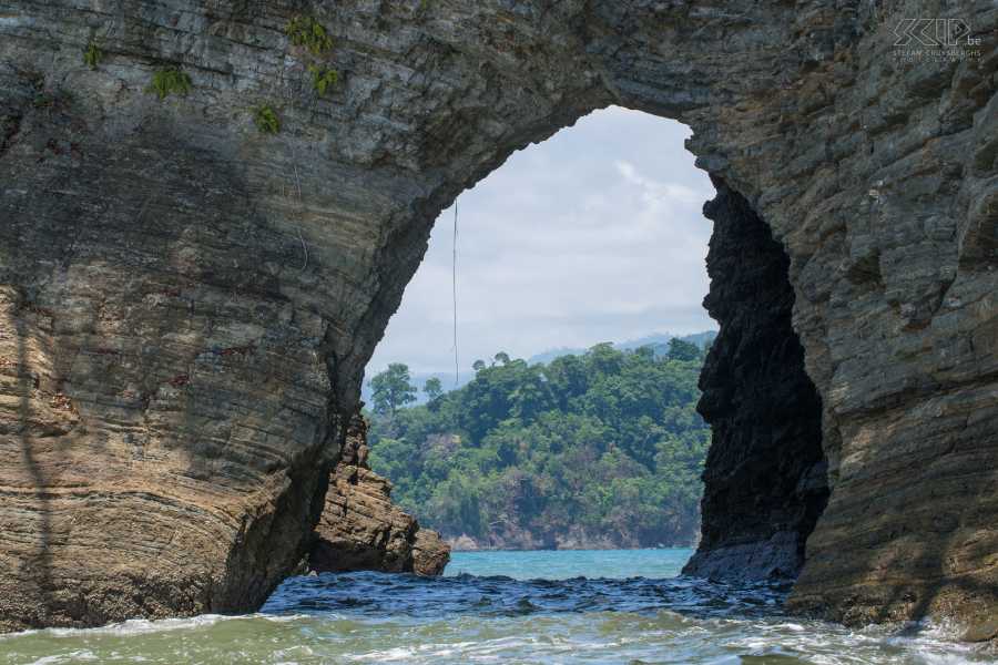 Uvita Information Center Whale and Dolphin Watching Tour