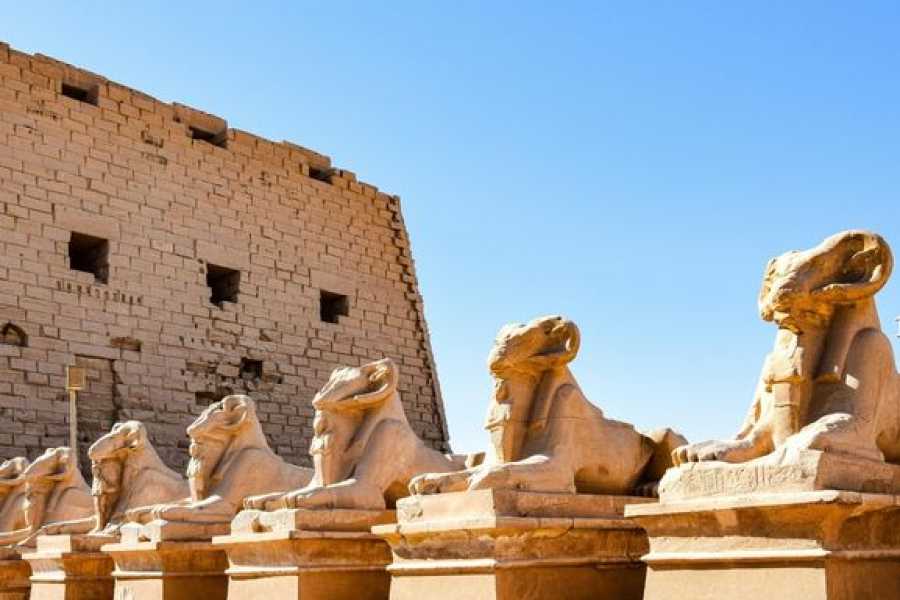 El Gouna Tours 10 Day Egypt tour package Cairo and Nile cruise