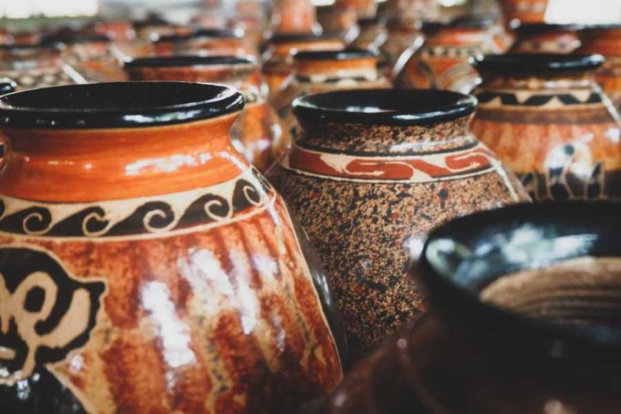 Tour Guanacaste Blue Zone Cooking Class Experience