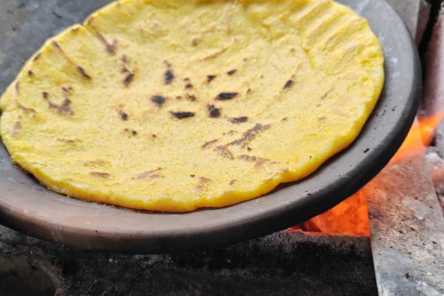 Tour Guanacaste Blue Zone Cooking Class Experience