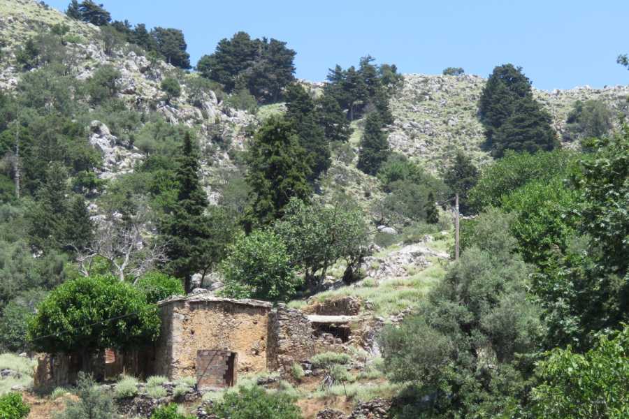 Destination Platanias Mountain Road Trip