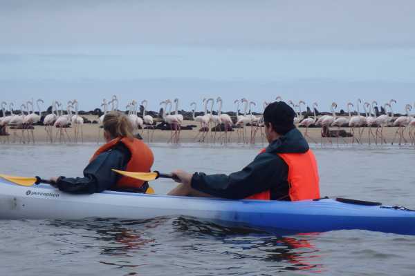 Self Drive - Eco Marine Seal Kayaking Adventure