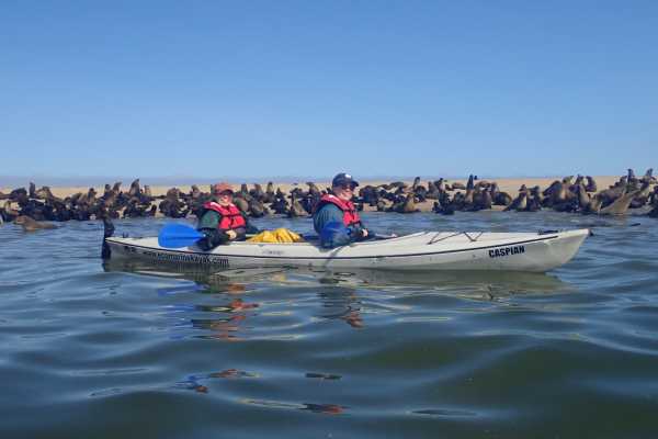 Self Drive - Eco Marine Seal Kayaking Adventure