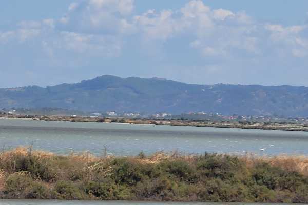 Birdwatching Vjose-Narte Protected Landscape
