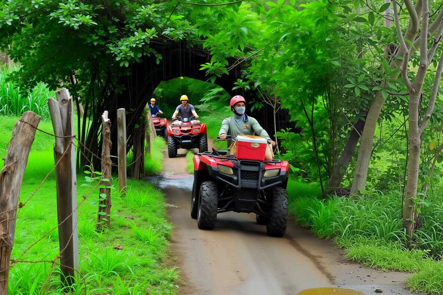Congo Canopy 400cc ATV Canopy Zip-Line Combo