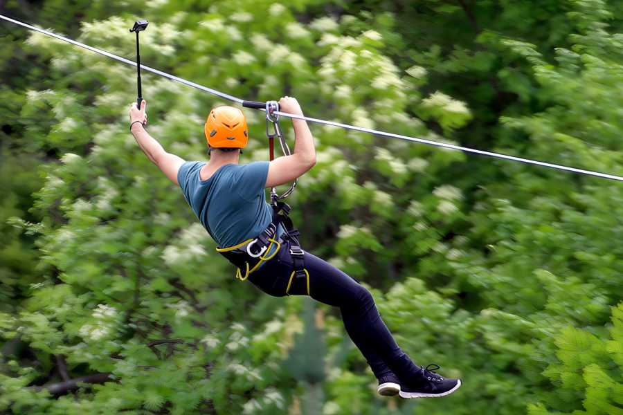 Congo Canopy 400cc ATV Canopy Zip-Line Combo
